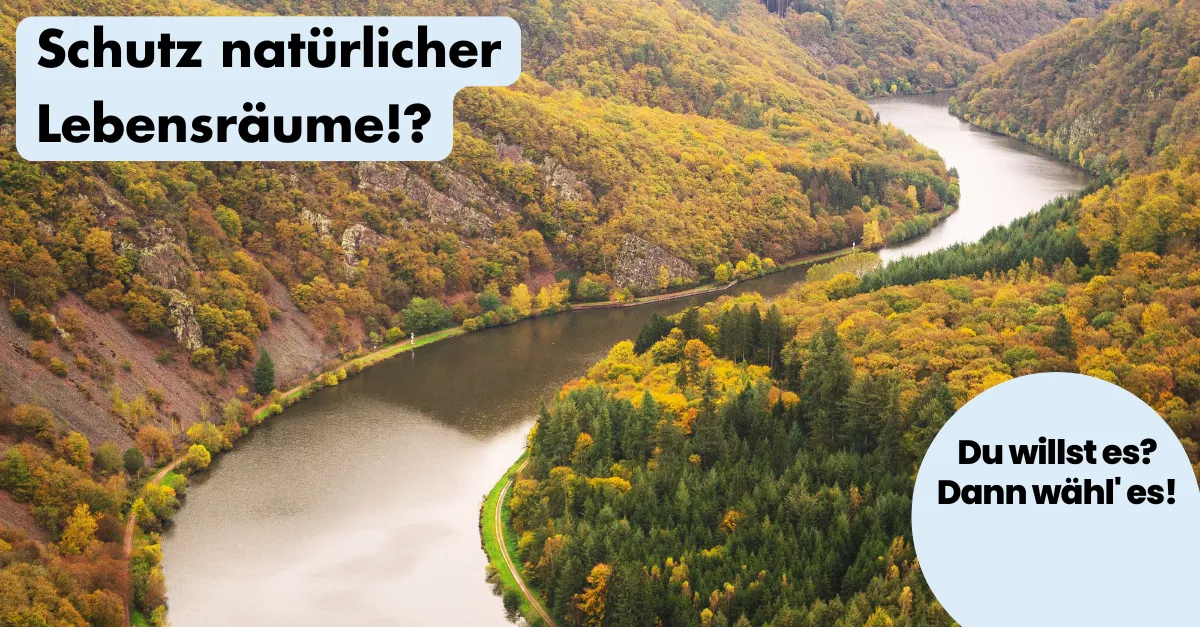 ohnelogo_linkedin_naturliche_lebensraume_fluss